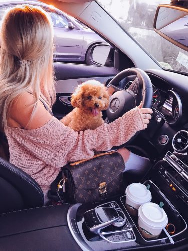 trabajar de escort de lujo